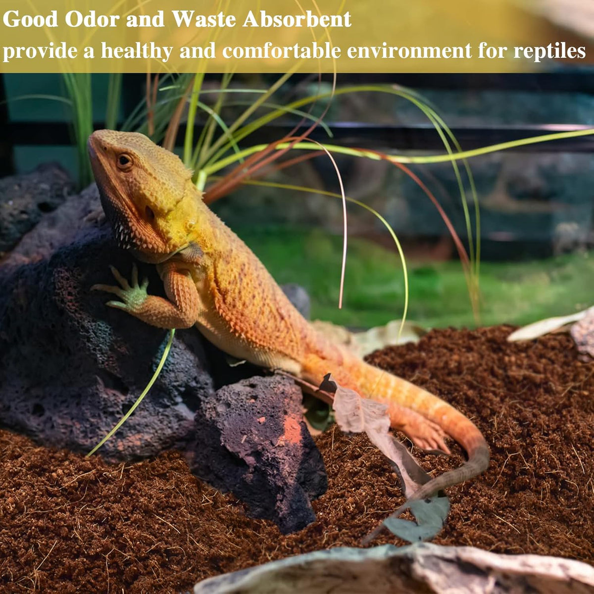 ZeeDix natural coco coir used for tortoise and bearded dragon habitat