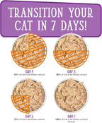 Healthy adult cat enjoying Weruva wet food formula from a bowl