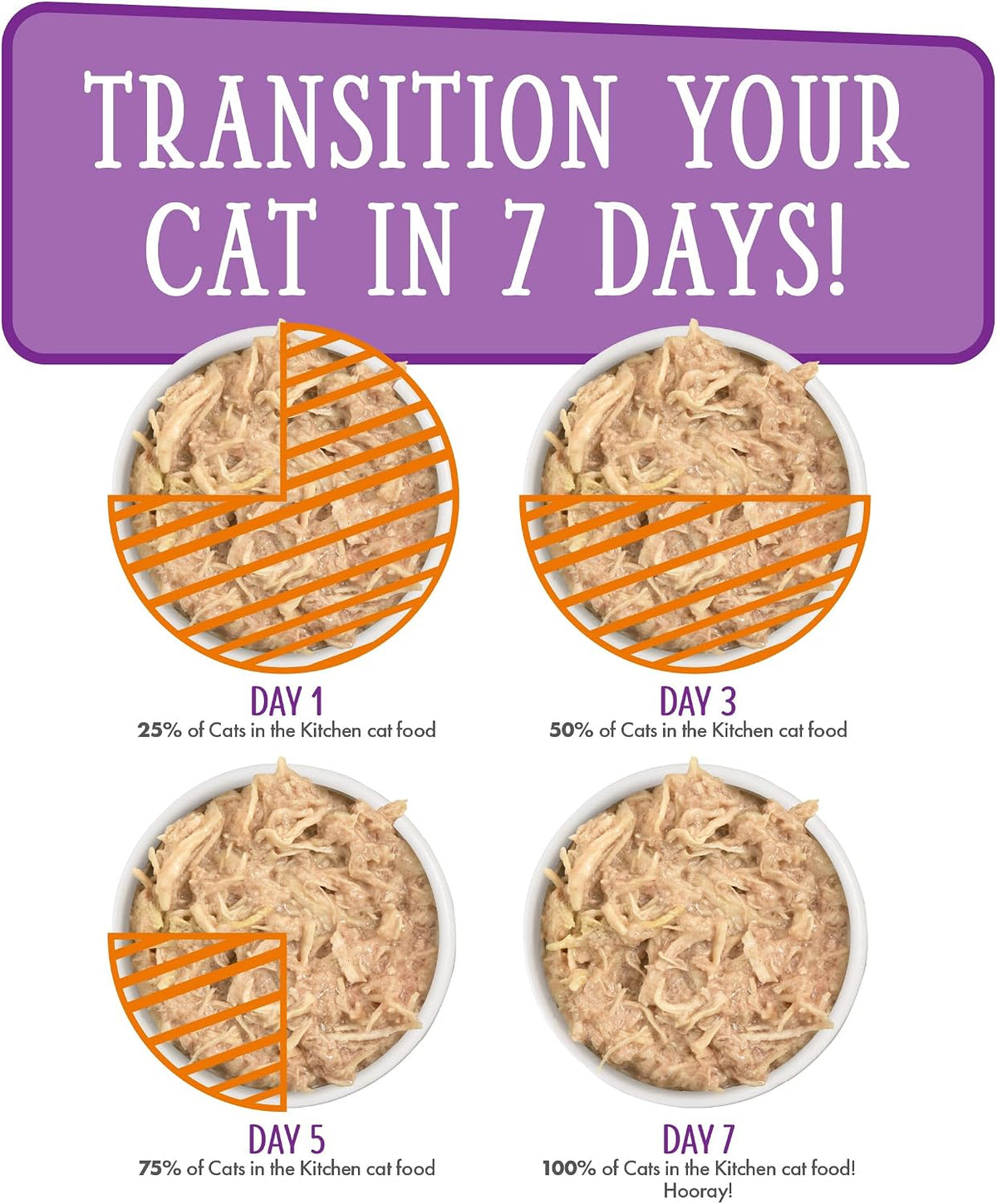 Healthy adult cat enjoying Weruva wet food formula from a bowl