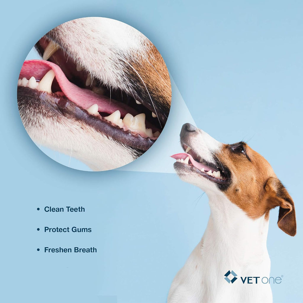 DuoClenz dual enzymatic poultry flavor rawhide chews close up