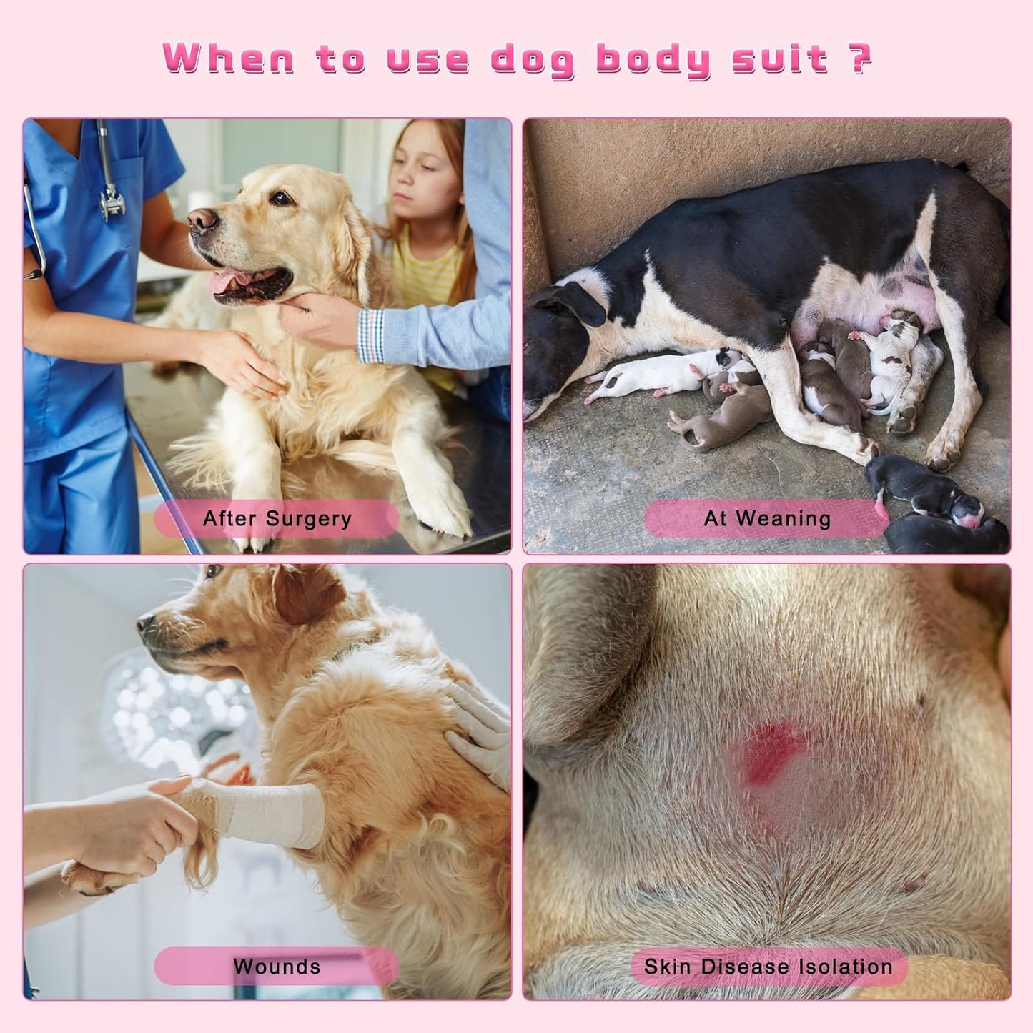 Quearn anti licking dog onesie close up of abdominal wound protector