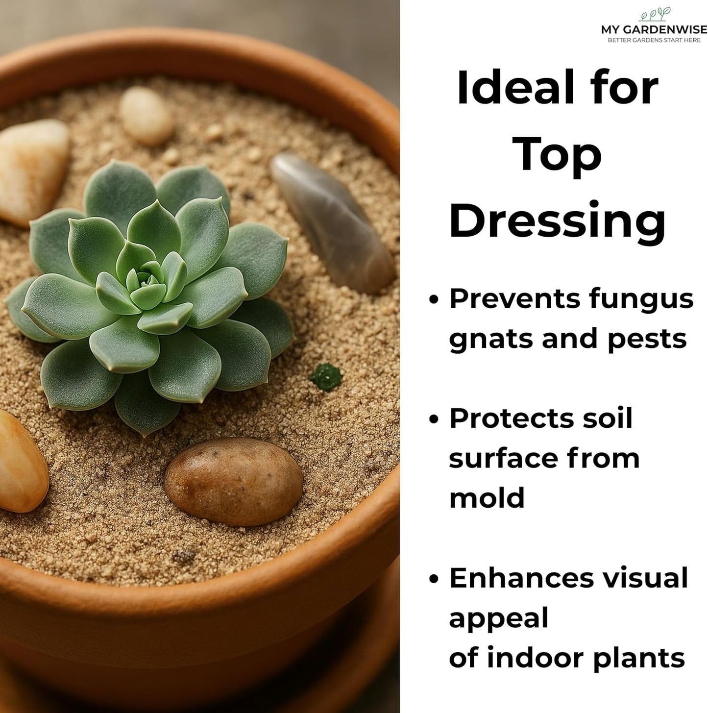 Clean natural stone sand used as a decorative top dressing in a modern glass terrarium.