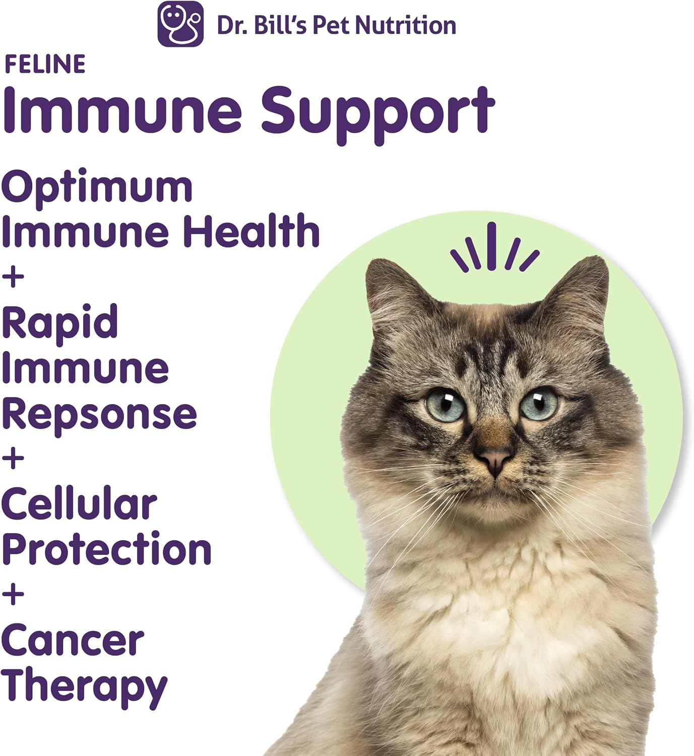 Veterinarian-formulated feline immune system booster powder