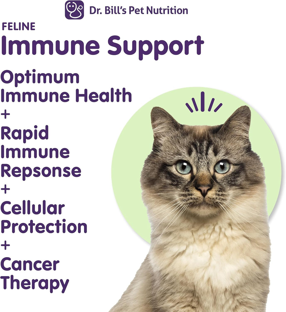 Veterinarian-formulated feline immune system booster powder