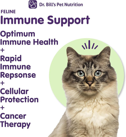 Veterinarian-formulated feline immune system booster powder