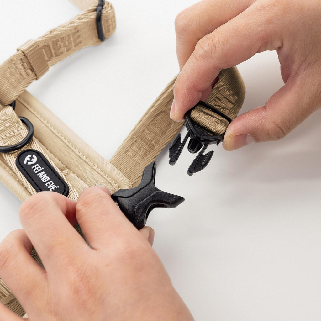 Close up of Fei and Eve dog harness front leash clip