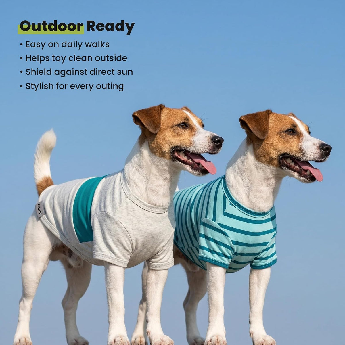 Pack of three Fitwarm striped dog shirts assorted colors