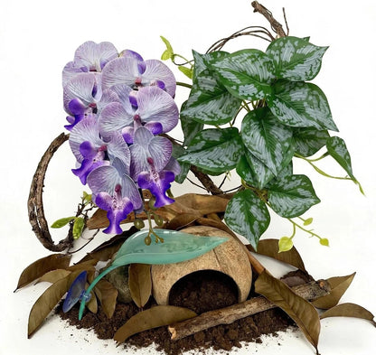 Close up of pink orchid and leaf platform