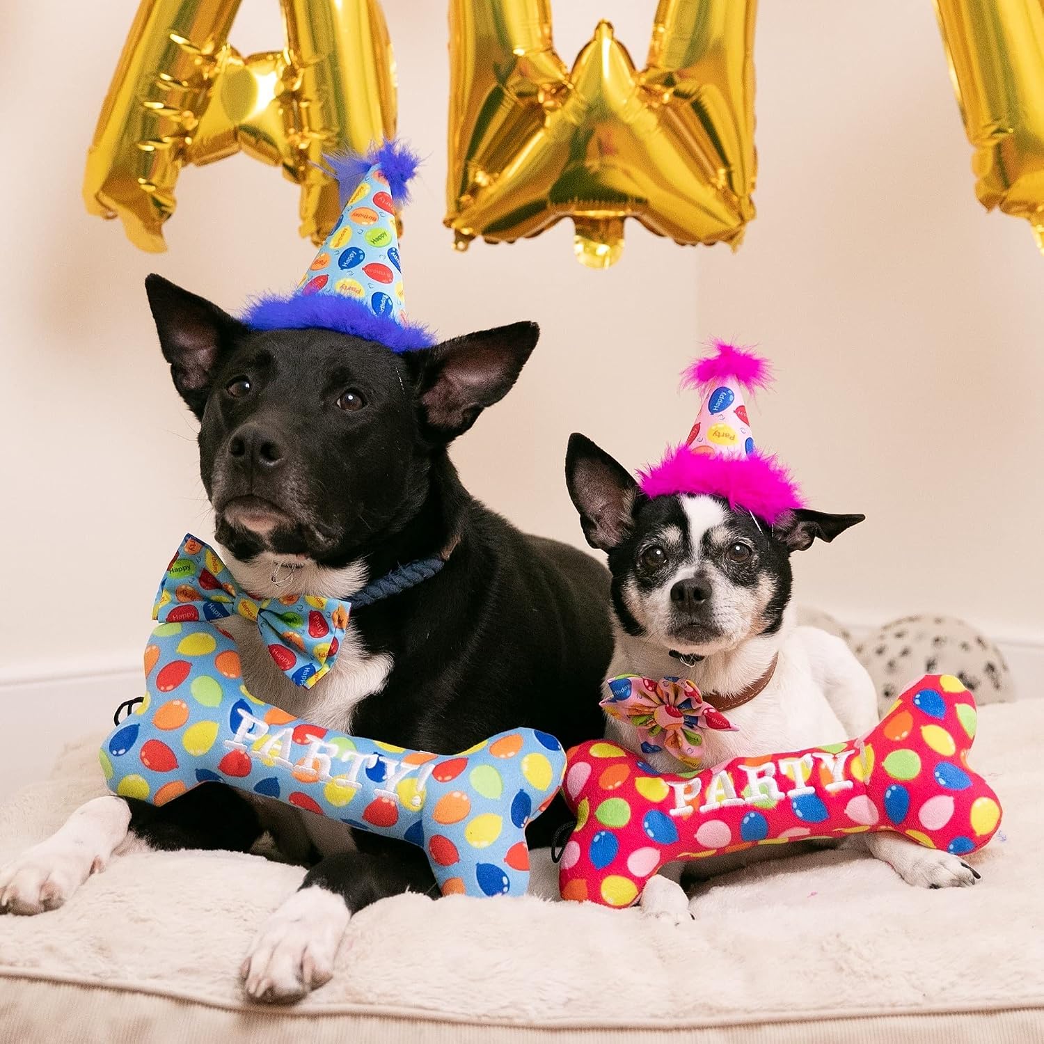 Dog wearing Huxley and Kent blue birthday party hat