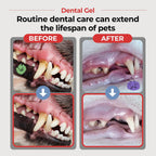 Close up of Jayu Pet Dental Gel tube for dog oral care