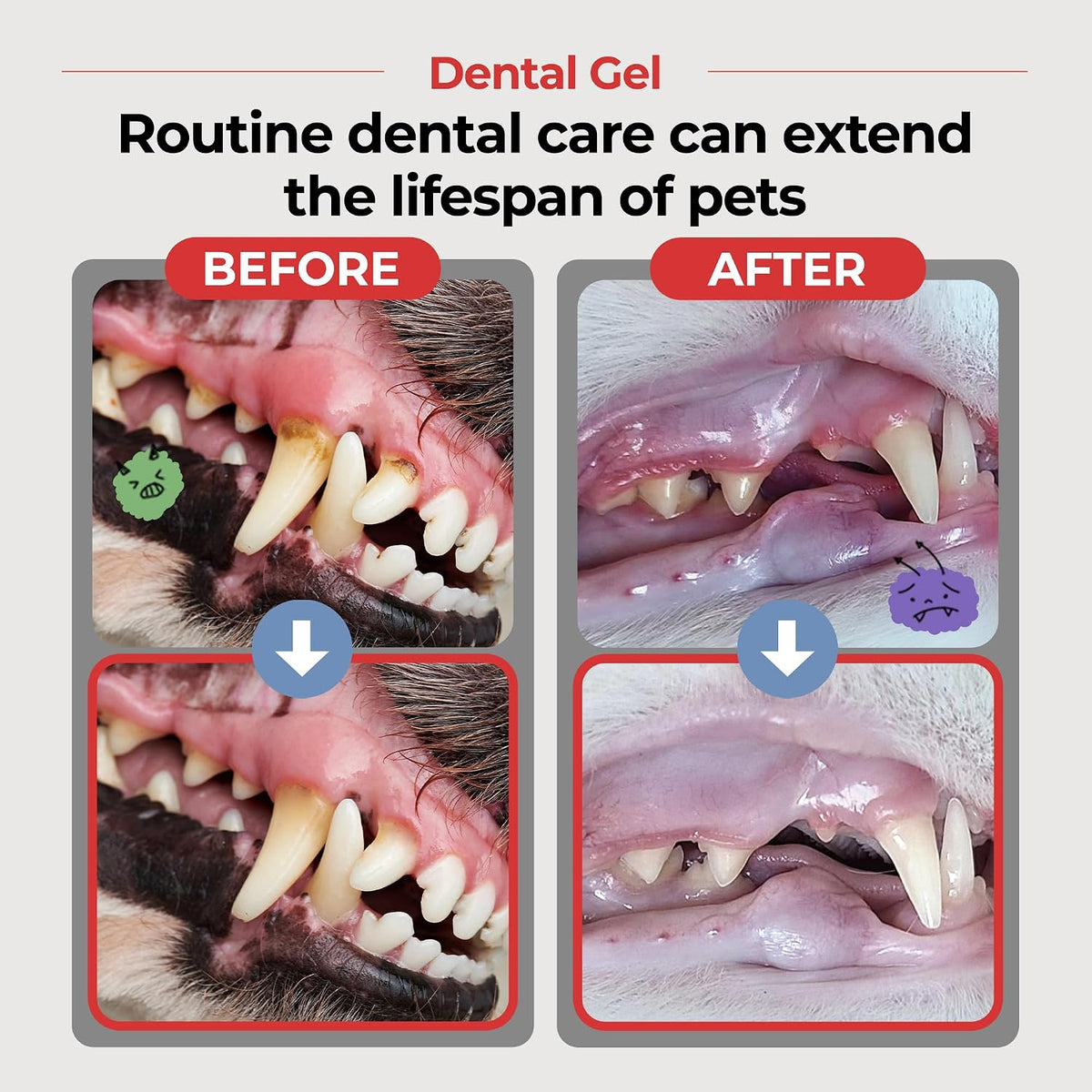 Close up of Jayu Pet Dental Gel tube for dog oral care