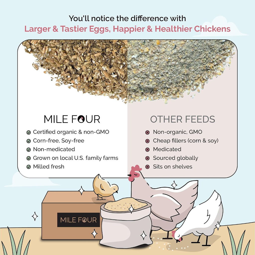 Healthy vibrant hen after using Mile Four organic growth feed