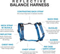 Blue-9 dog harness showing 6-point adjustment system