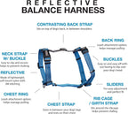 Blue-9 dog harness showing 6-point adjustment system