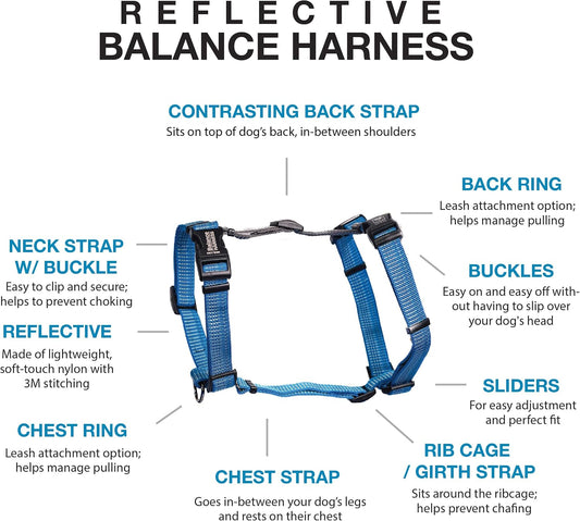 Blue-9 dog harness showing 6-point adjustment system