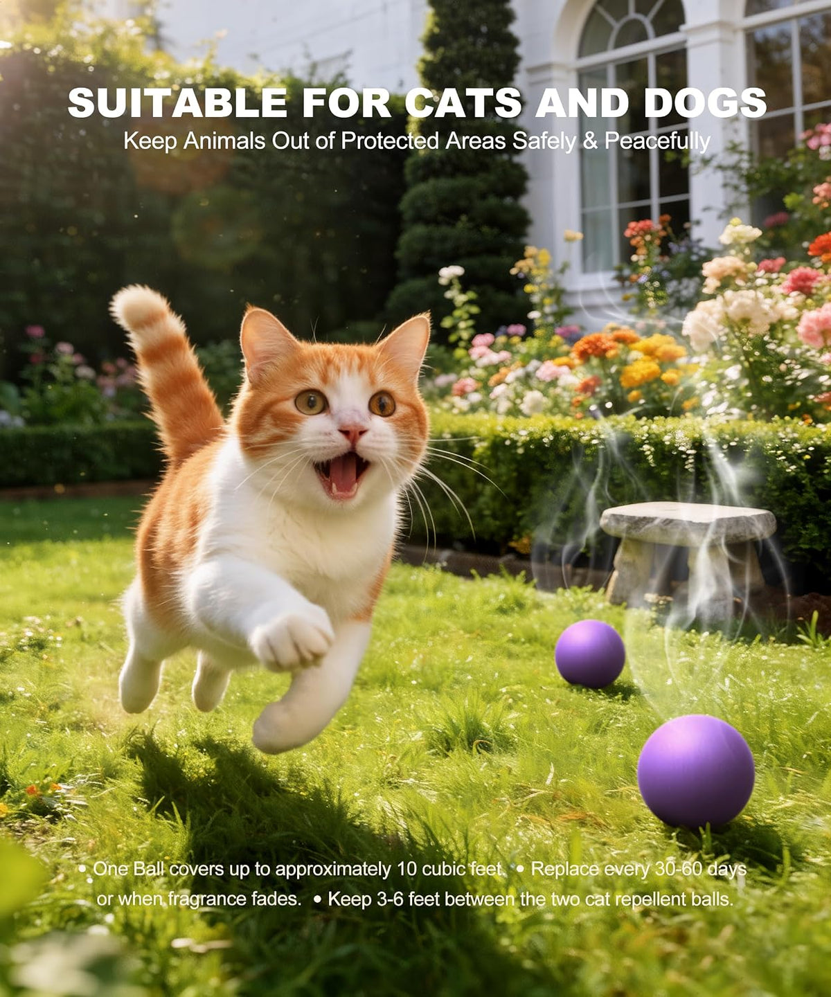 Authentic Mxvbaty cat deterrent packaging details