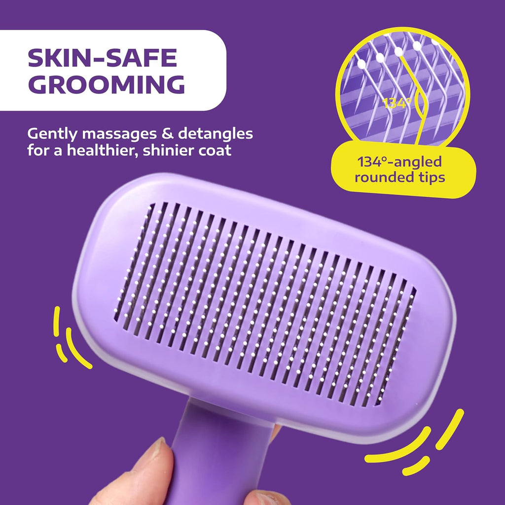 Cat grooming session with Hertzko self cleaning slicker brush