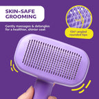 Cat grooming session with Hertzko self cleaning slicker brush
