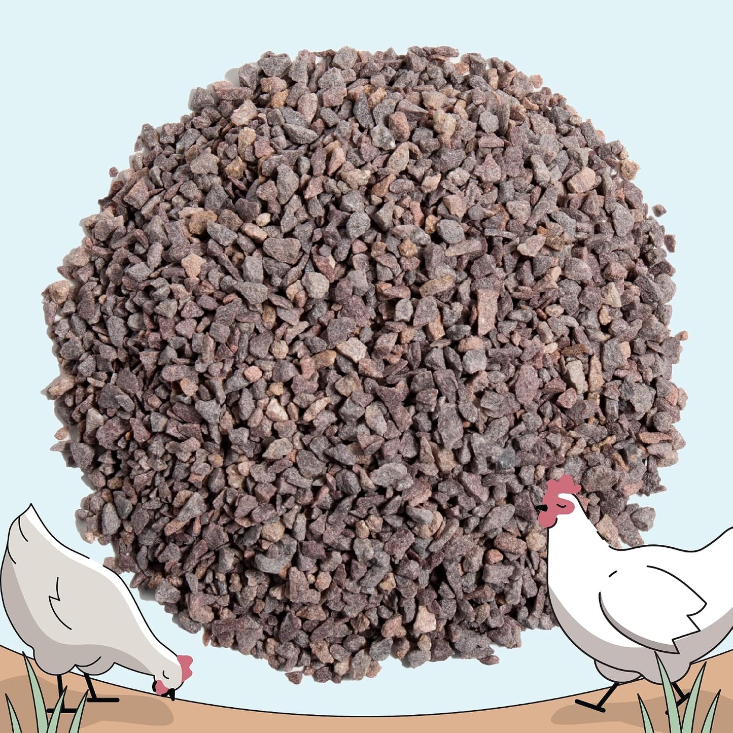 Comparison of starter grit and layer grower grit sizes