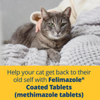 Authentic Felimazole methimazole 5mg bottle for cats