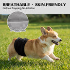 DENTRUN quick dry male dog belly band after machine washing