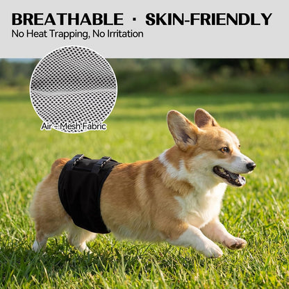 DENTRUN quick dry male dog belly band after machine washing