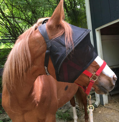 EquiVizor Solar Vizor Horse Fly Mask (Size Full), Superior UV Eye Protection to 99% for Horses with Uveitis, Photosensitivity, Ulcer, Head Shaking - Image 11