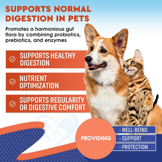 Beloved Pets liquid digestive supplement dropper showing clear fluid dosage