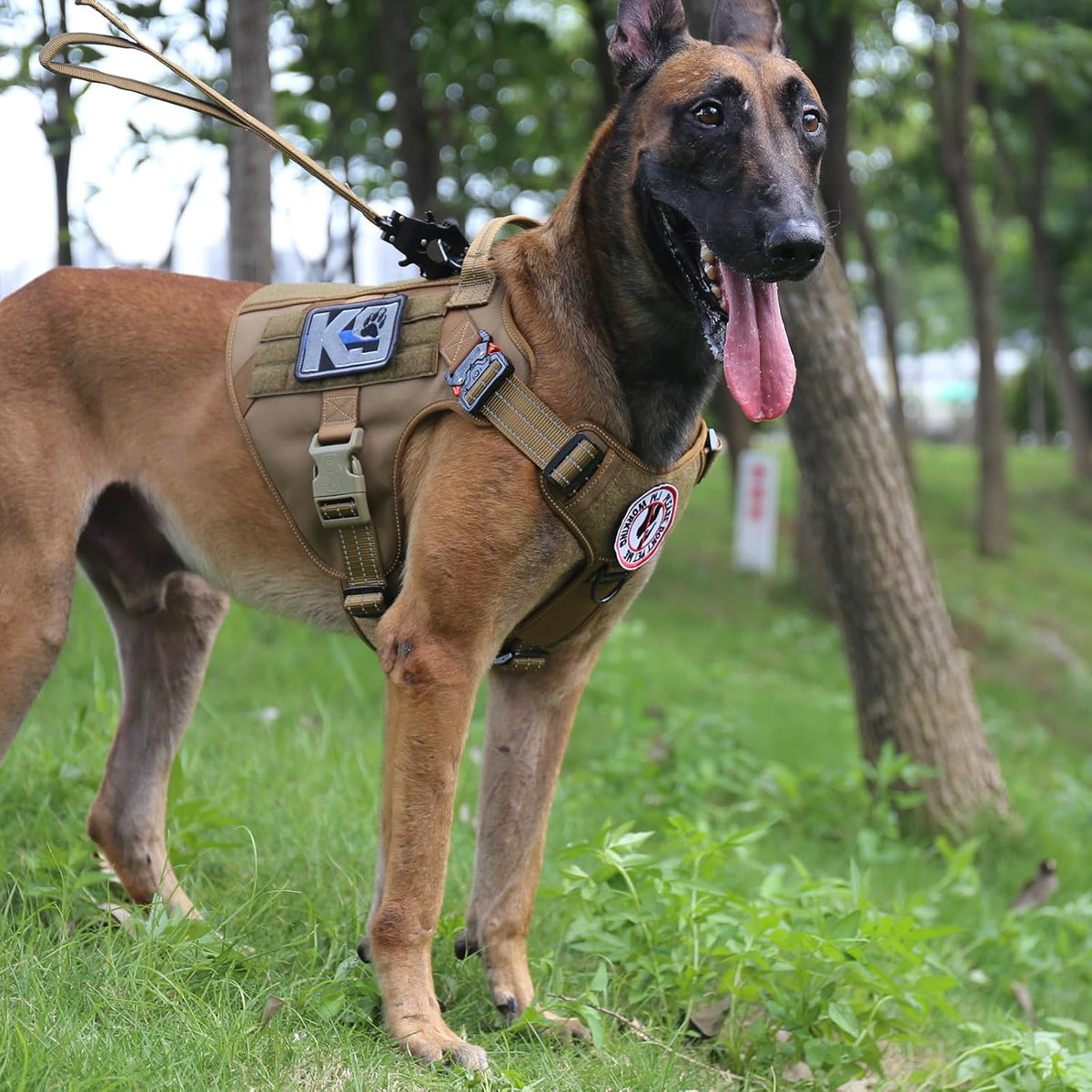 Icefang working dog vest top handle view