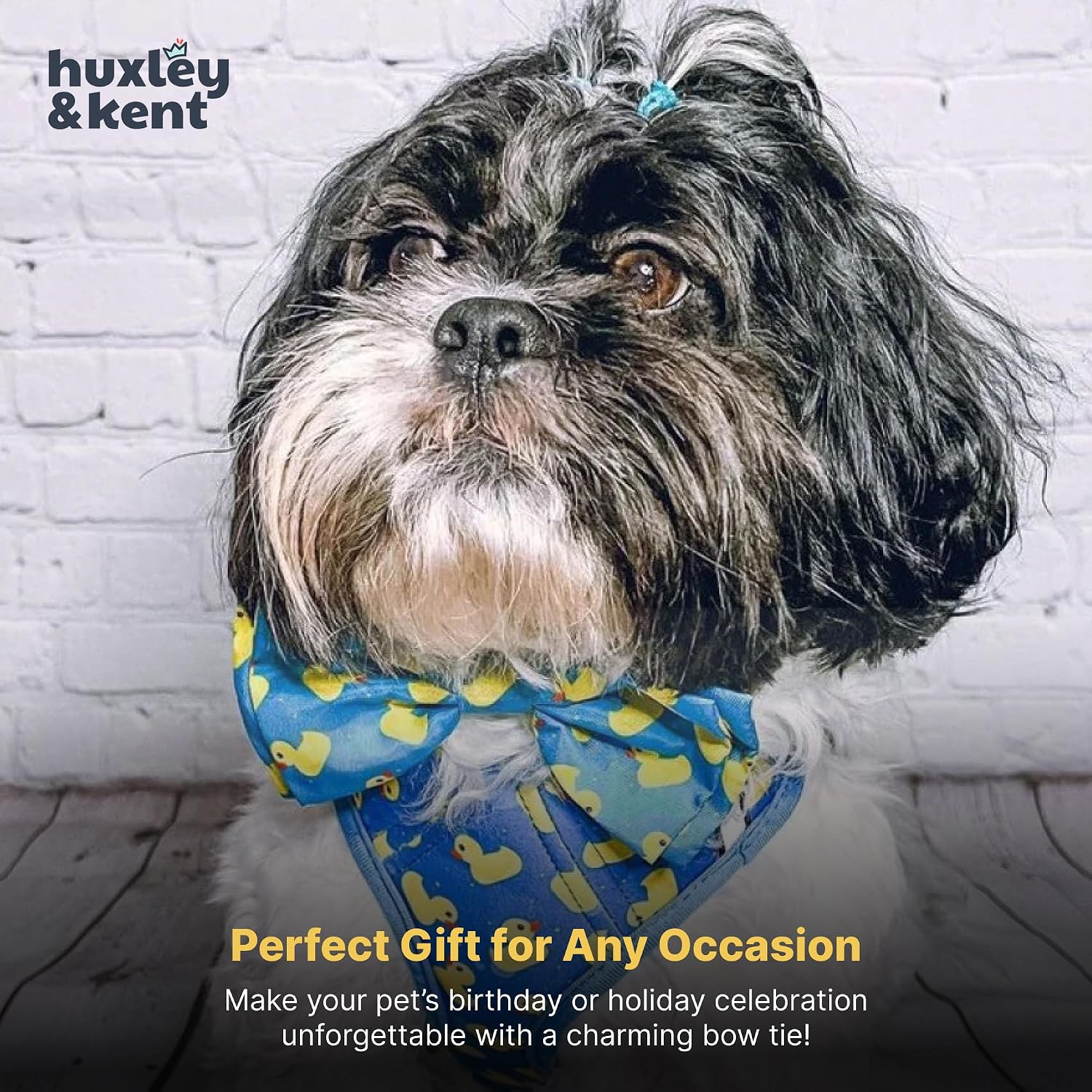 Huxley & Kent Pet Bow Tie for Dogs & Cats - Adjustable Hook & Loop Collar Accessory - Cute & Comfortable for Holidays & Celebrations - Lucky Ducky, Small - Image 9