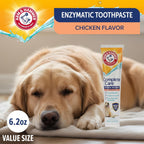 Close up of chicken flavor dog dental paste