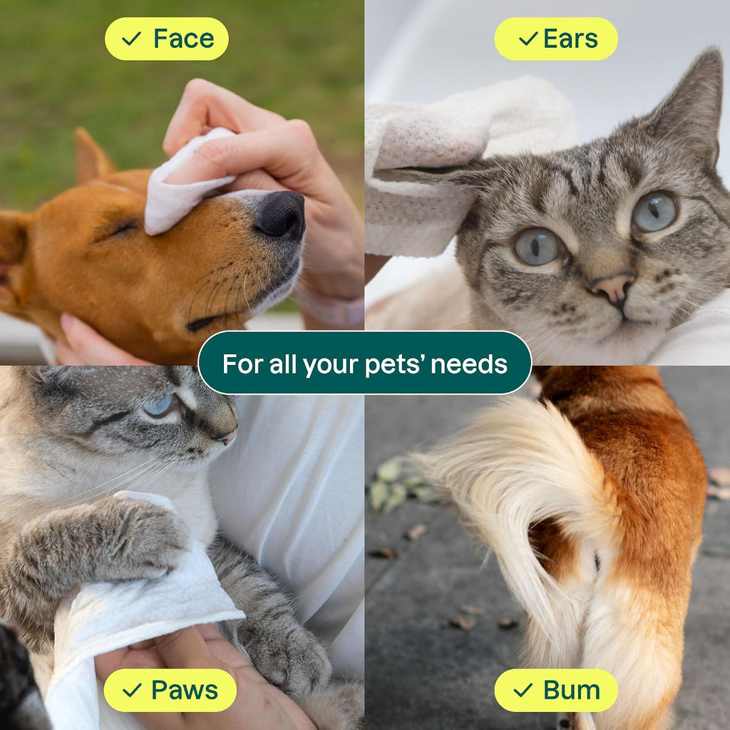Premium imported USA pet wipes with hard-lid dispenser close up.
