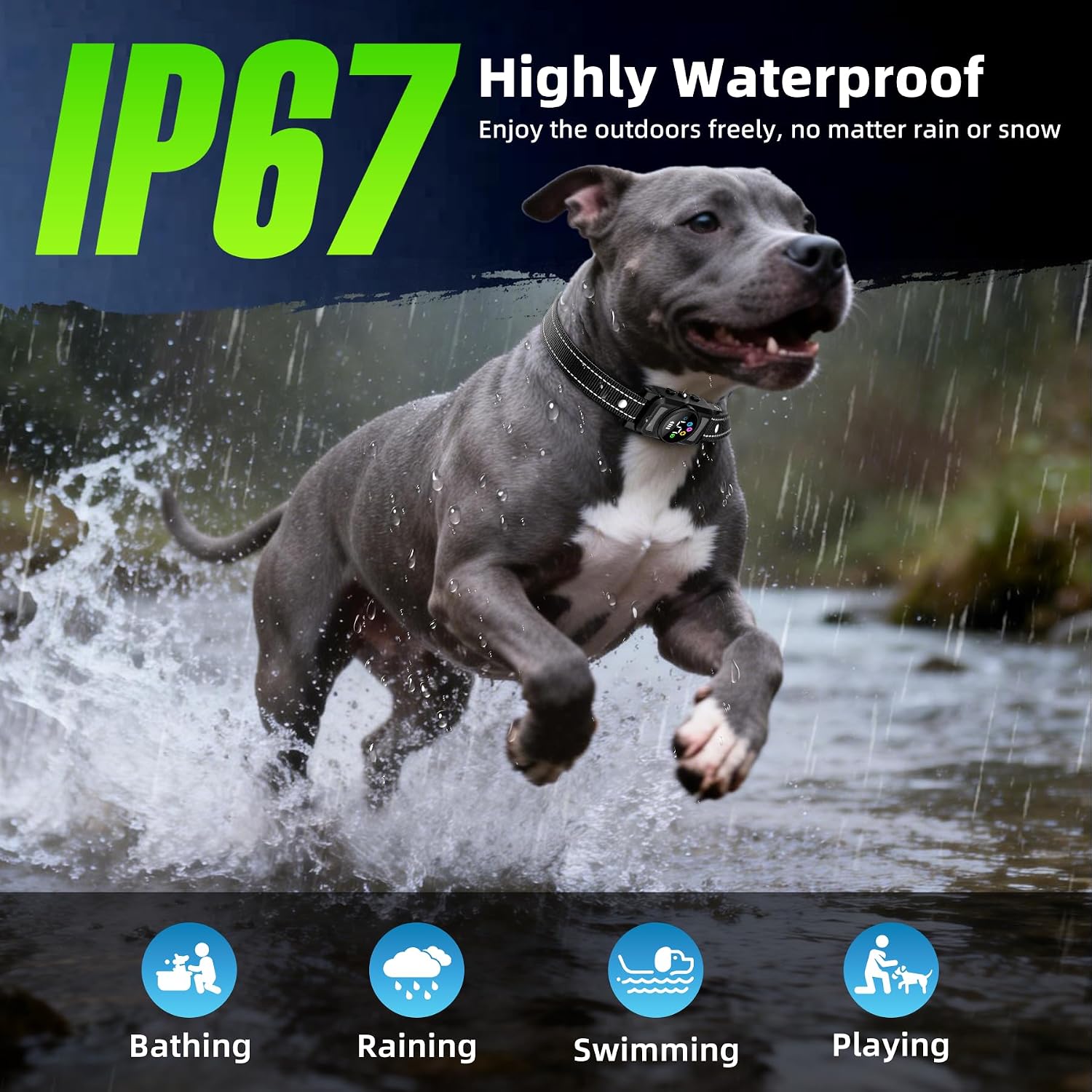 Humanely designed vibration training collar for dogs