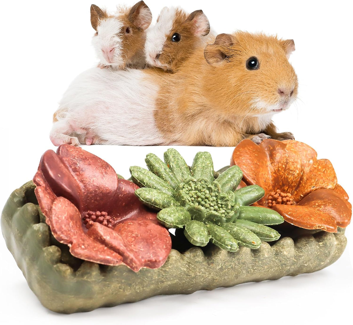 TEEWY Guinea Pig Chew Toys, Prevent Teeth Overgrowth, Natural Timothy Grass & Vegetables, Hamster Chew Toys, Guinea Pig Toys, Chinchilla Toys, 4PCS, Grass Patch & Mushrooms - Image 10