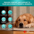 USA imported dog anxiety relief chews package graphics focusing on the 70 count quantity indicator.