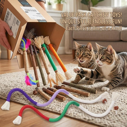 Cat playing with cotton rope catnip toy for teeth cleaning