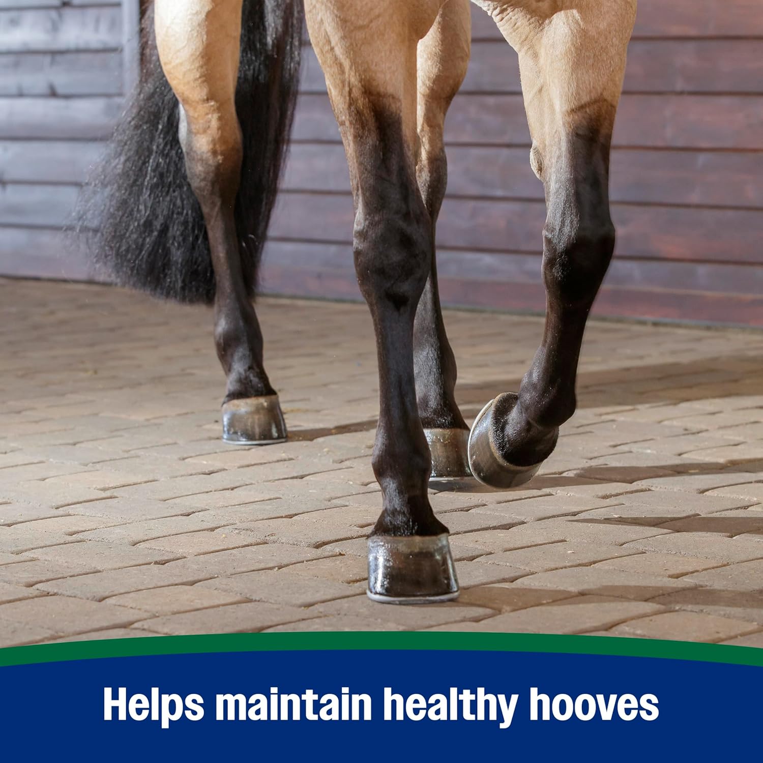 Imported USA equine health product packaging close up angle view
