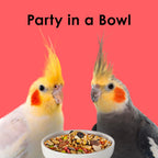 Kaytee Fiesta Cockatiel Food, Nutritious and Fun Blend, Supports Skin, Feather, Digestion, Brain and Heart Health, 4.5 pounds - Image 10