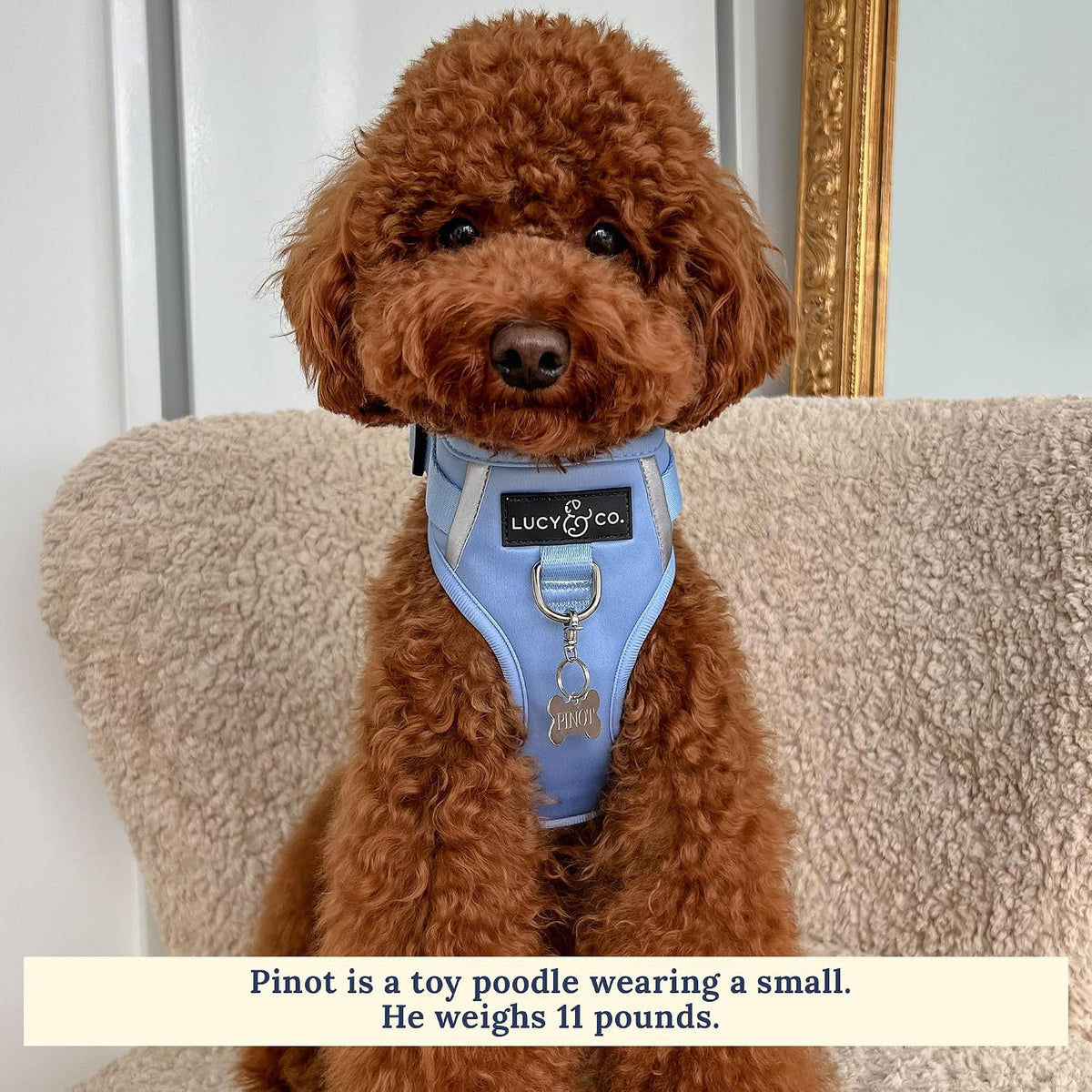 Breathable interior mesh of Lucy And Co. dog harness