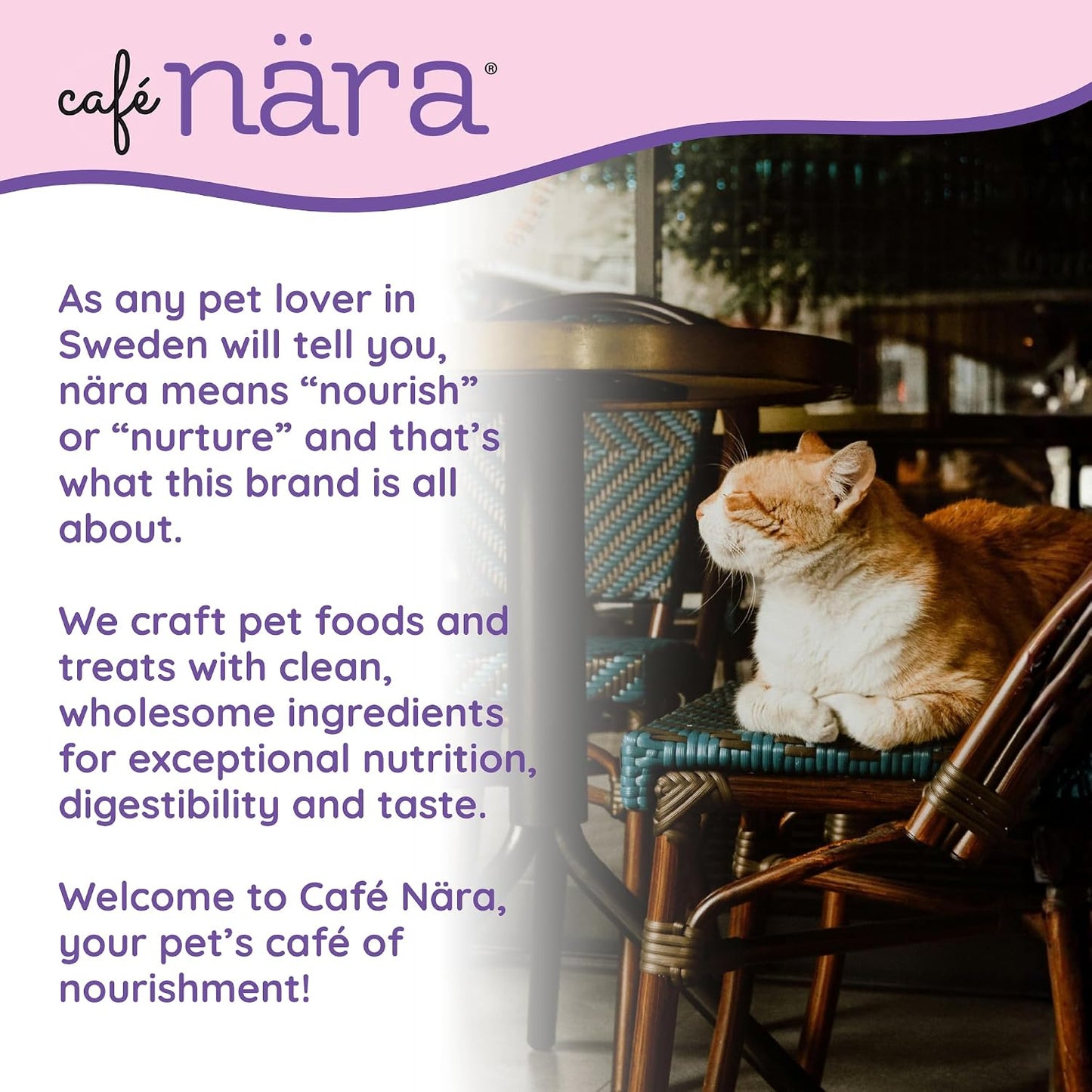 Cafe Nara chicken recipe cat food kibble texture close up