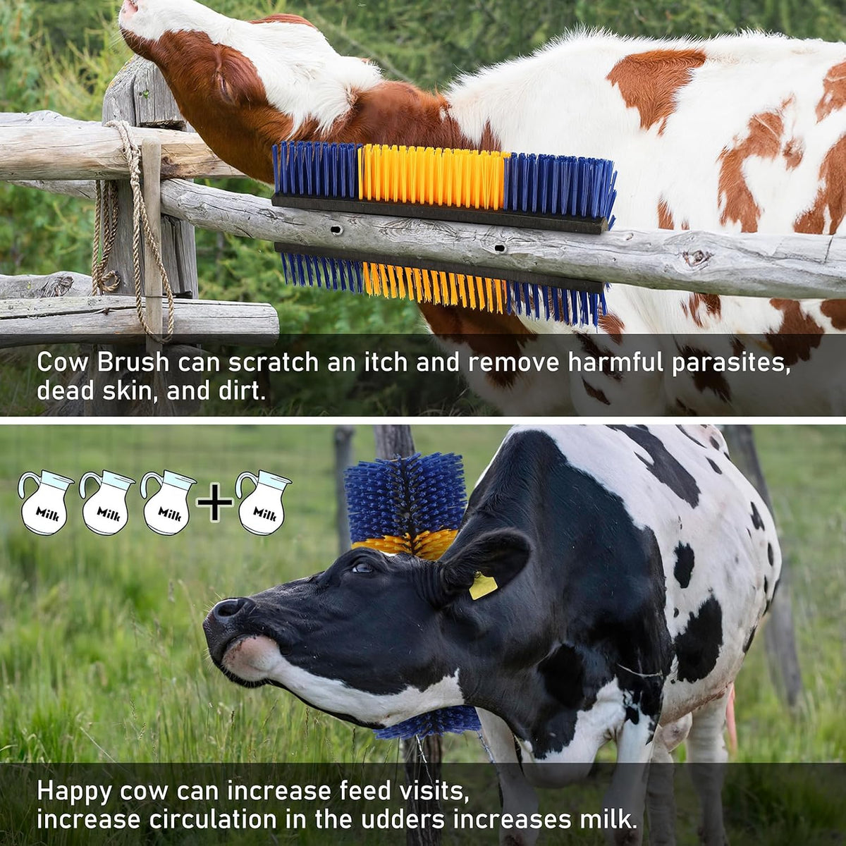 Durable cow scratcher mounted on a wooden fence