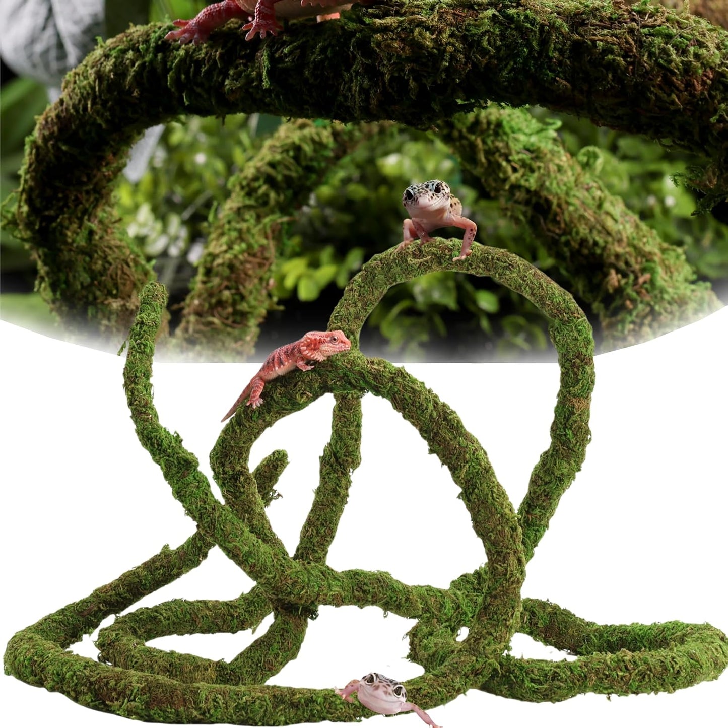 Durable iron wire core visible in reptile moss vine