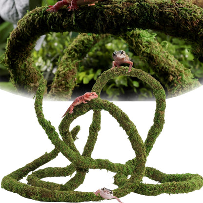 Durable iron wire core visible in reptile moss vine