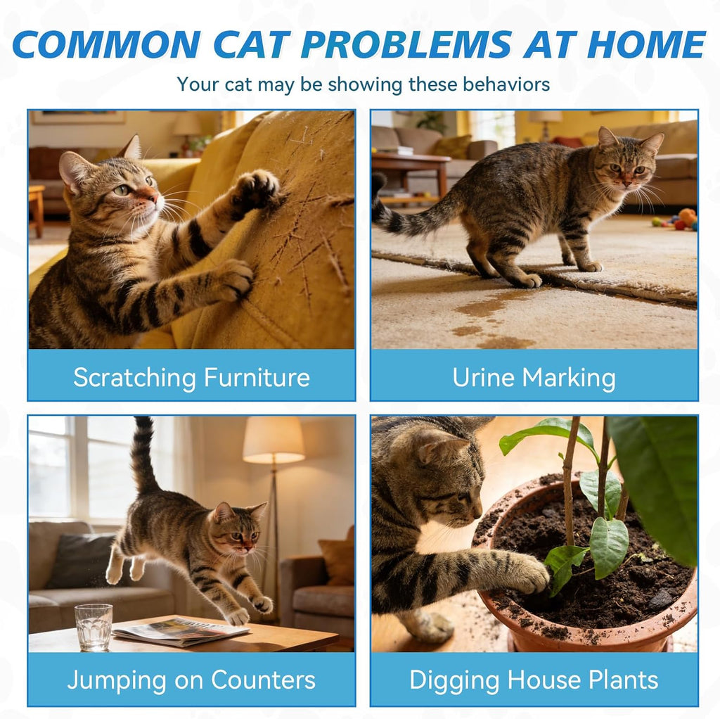 Ecmoomce training spray for cats on household furniture