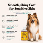 Natural Dog Company hypoallergenic oatmeal shampoo for dogs