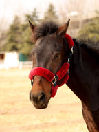 Harrison Howard Fleece Halter Covers for Horses, Set of 9, Prevent Hair Loss Pressure Marks, Padded Horse Halter Fleece Set Black - Image 11