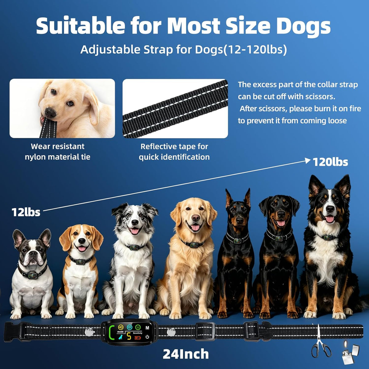 Dog wearing Pqjdfx anti bark collar outdoors