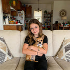 Adjustable kitten and puppy formal necktie collar collection for holiday photography sessions.