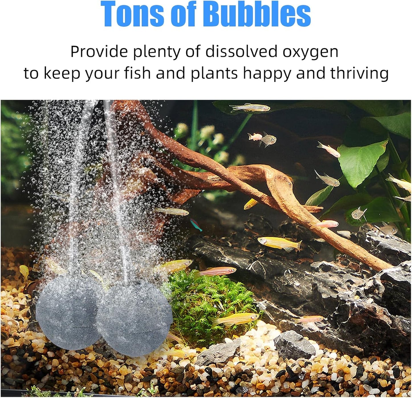 Aquaneat two inch aerator stones generating ultra fine bubbles in water tank