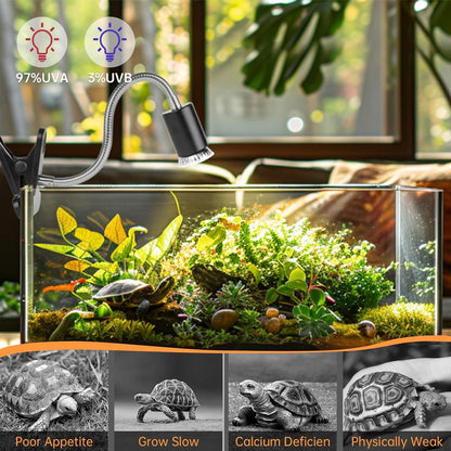 Four halogen basking bulbs arranged neatly to showcase the multi pack value.
